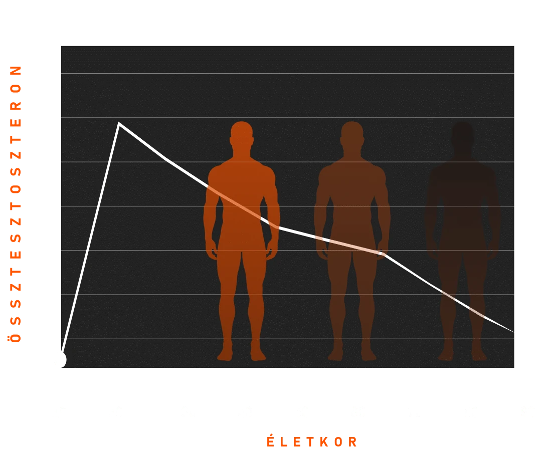 Egy generációnyi férfi, aki teljesen kimerült
