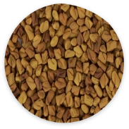 Kép